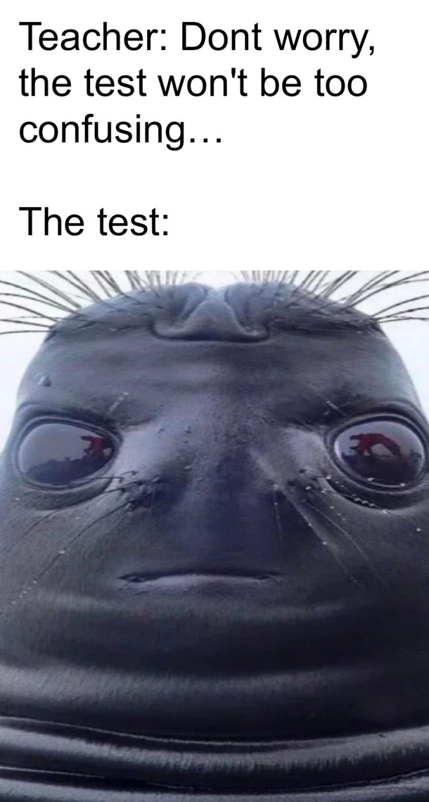 Skool