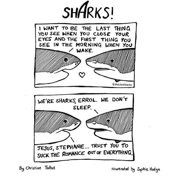 Sleep