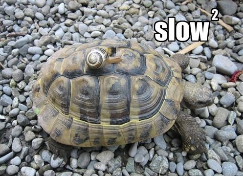 Slow