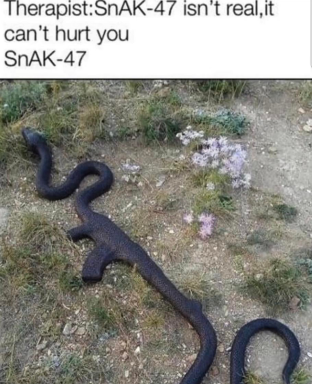 SnAK-