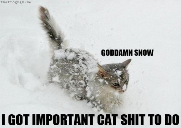 Snow