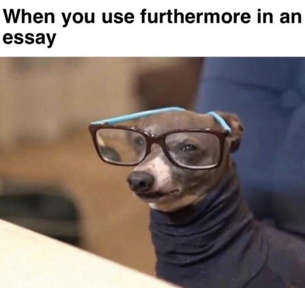 Sophisticated