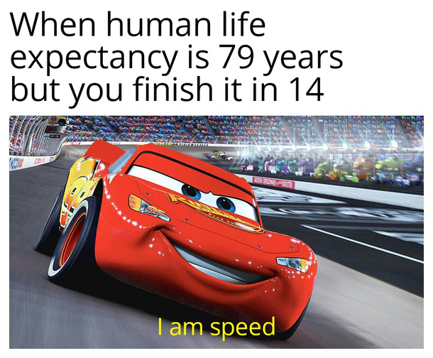 Speeeeed