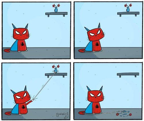  Spidercat Spidercat does whatever spidercat does 