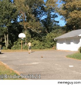  Sports Trick Shot