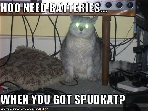 SPUDCAT