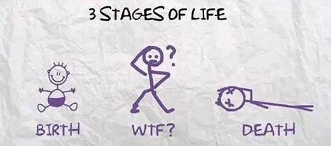  Stages of Life