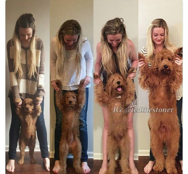  stages of my life 