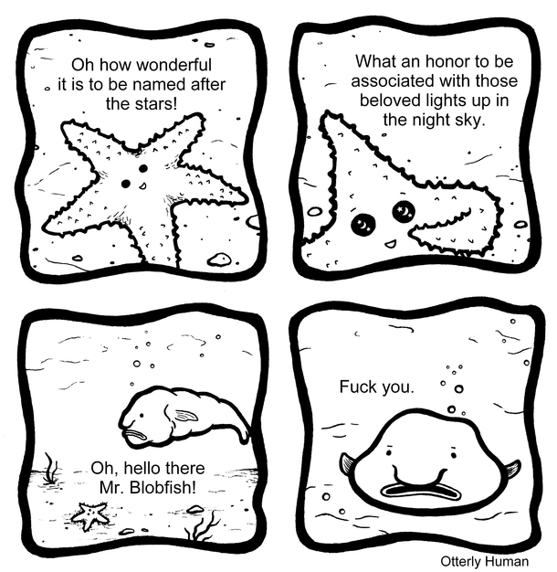 Starfish