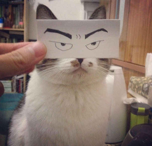 Staring
