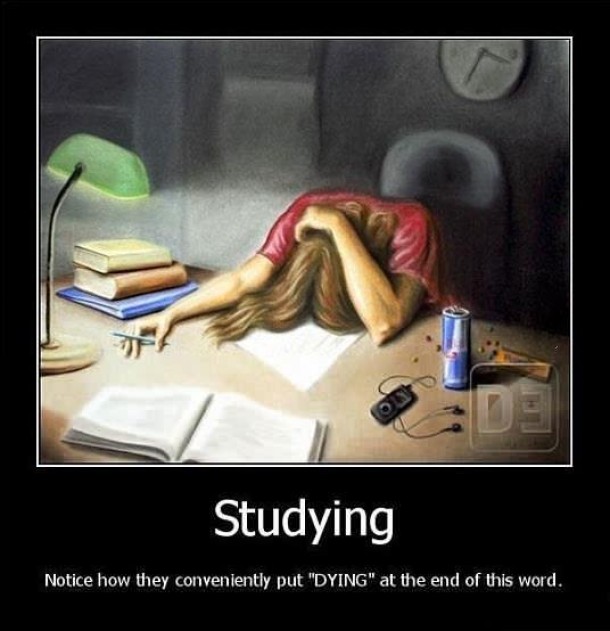 Studying