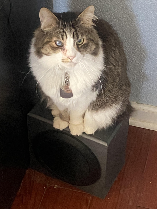 Submeower