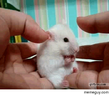 Surprise