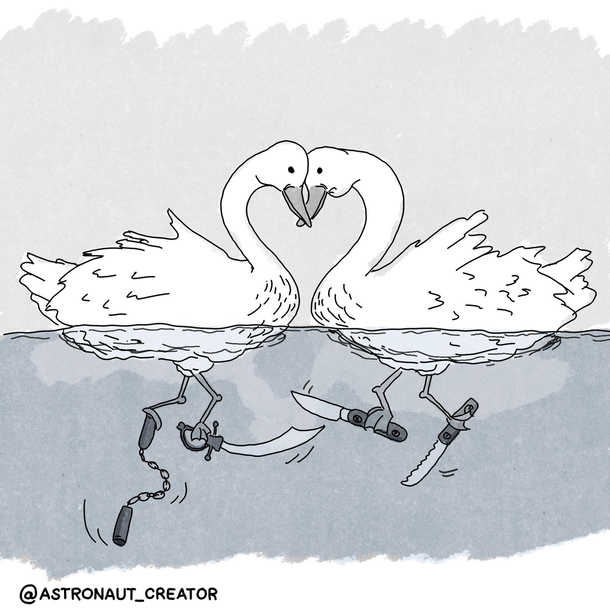 Swans
