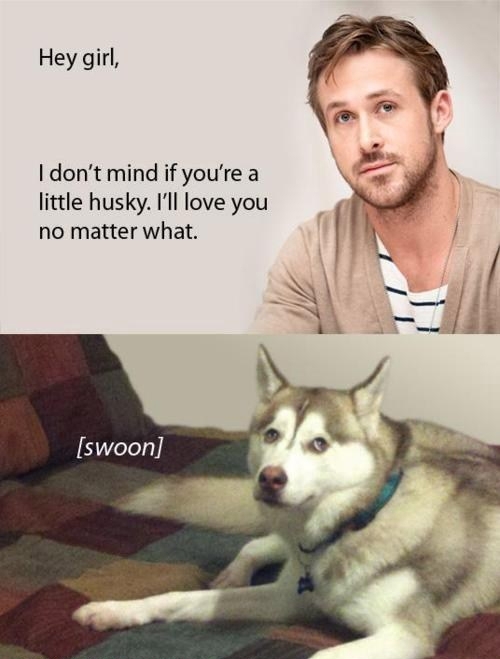 Swoon