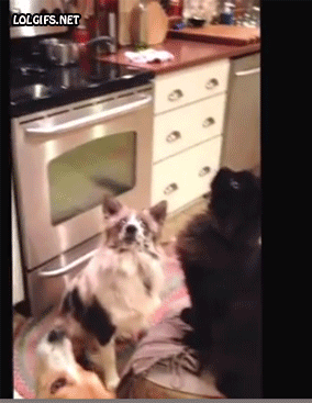 Teamwork
