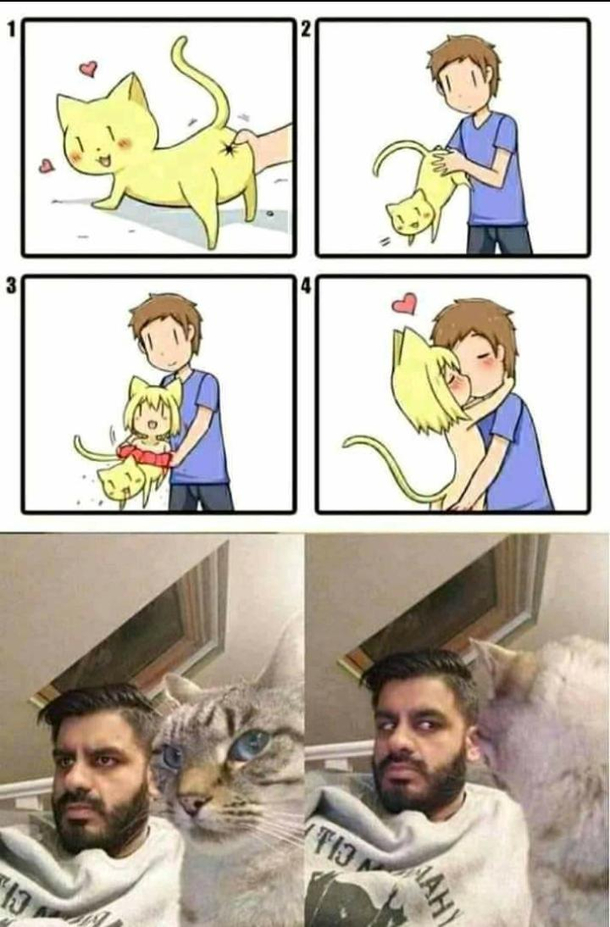 tf