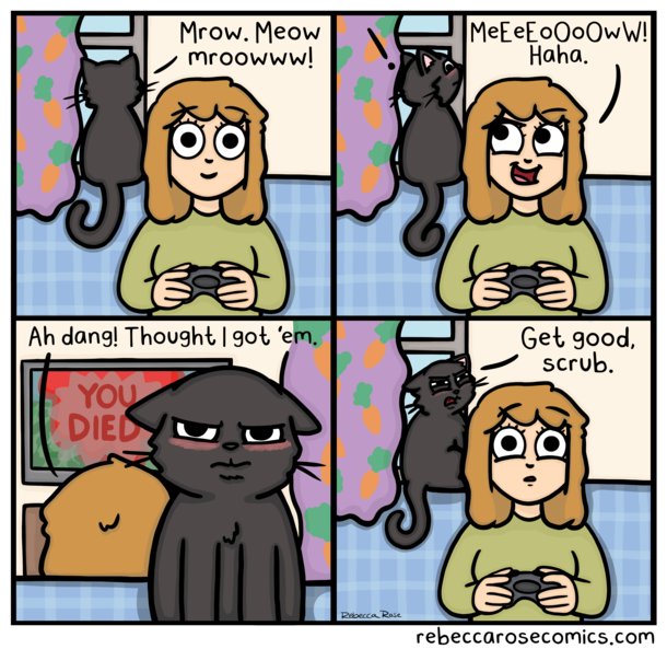  The cat bites back