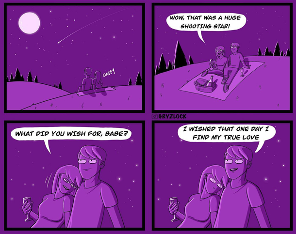  the last wish