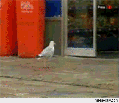 Thief