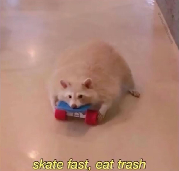 Thrashpanda