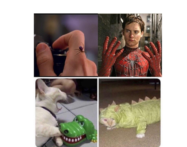 Title