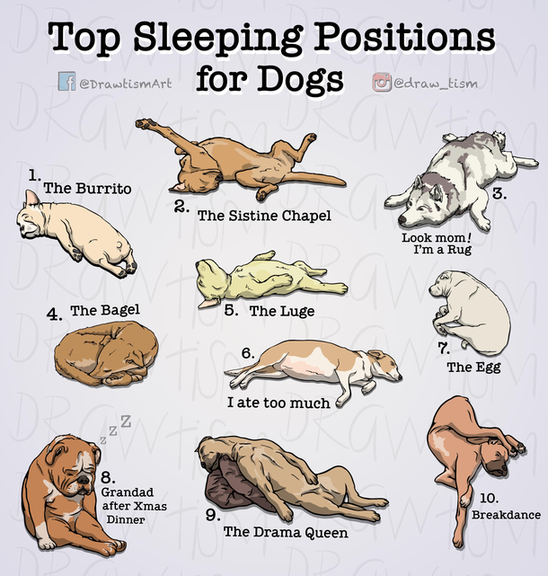-top-sleeping-positions-424243.jpg