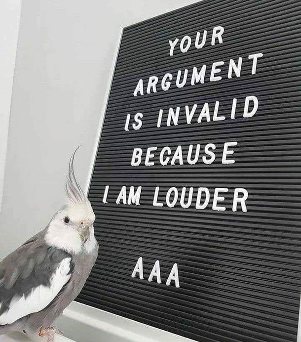 Touche