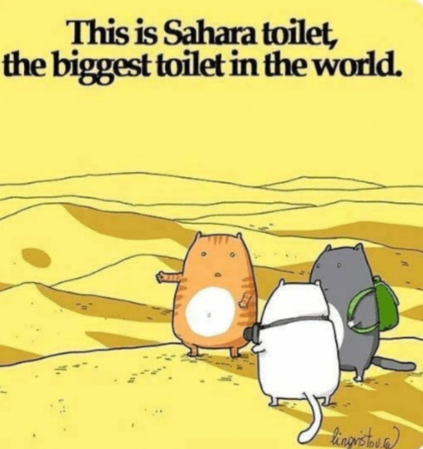 Tourism