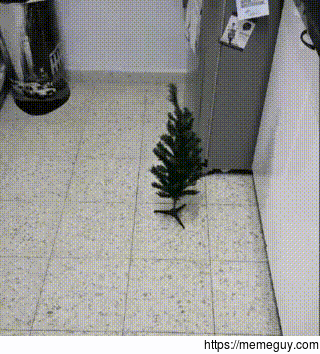 Treecatack