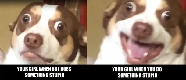 Triggeroni