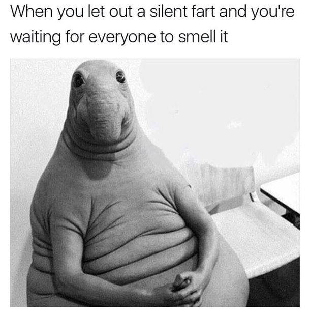 True