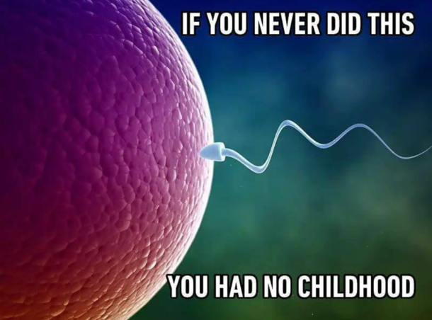 True