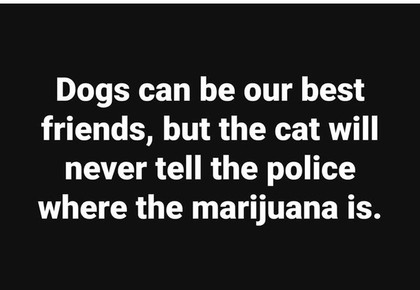 True