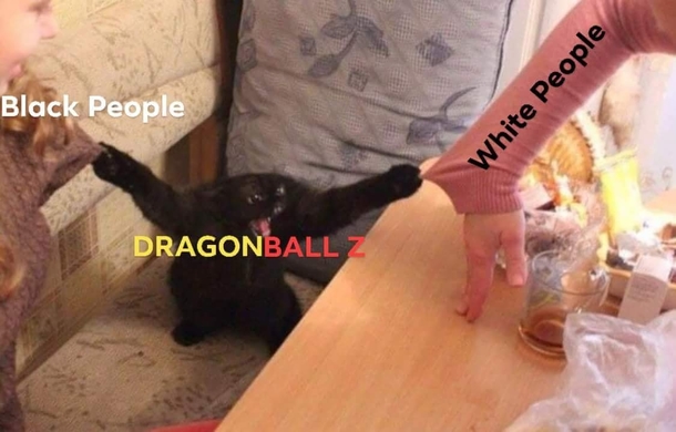 True