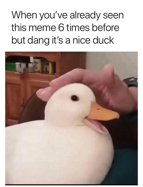 True
