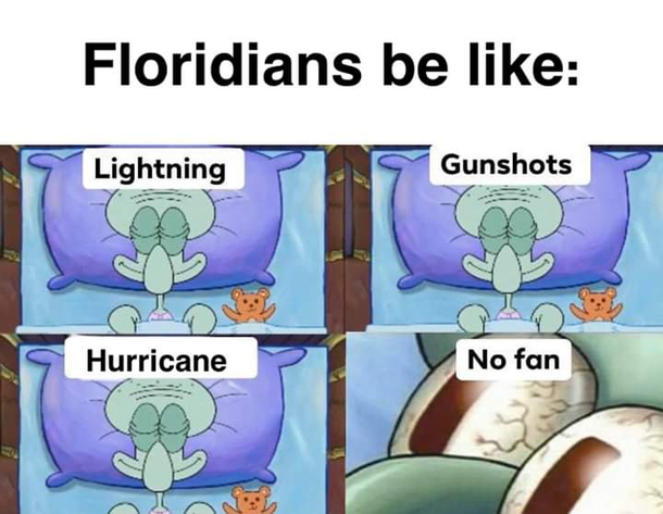 True