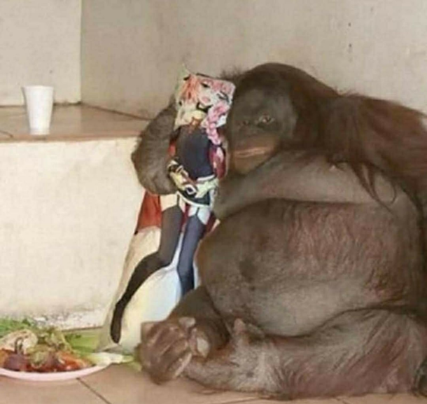  True Love 