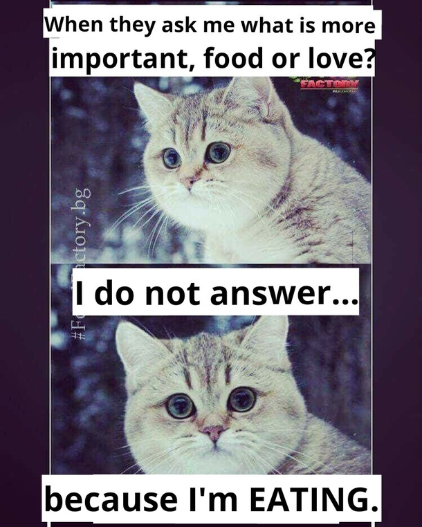 Truth
