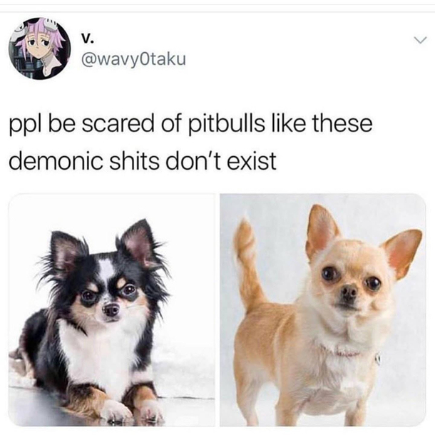 Truth