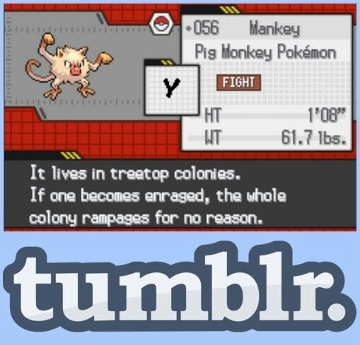 Tumblr
