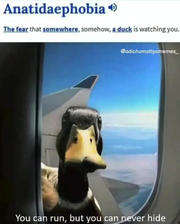 _uck
