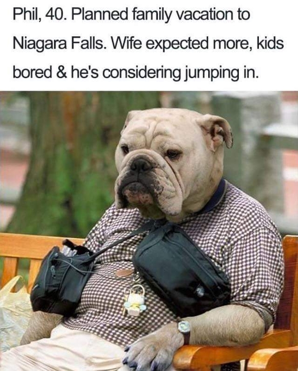 Ungrateful