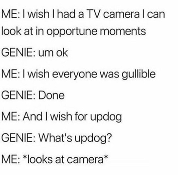 Updog