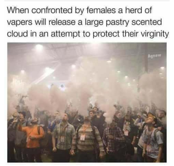 Vapenation