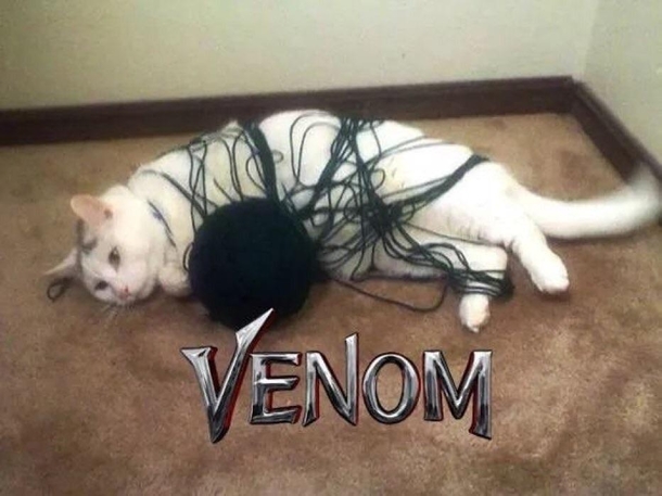 venom