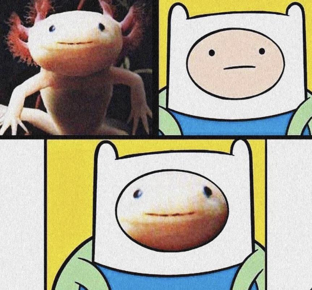 _ vibes