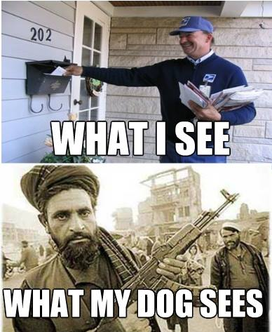 War