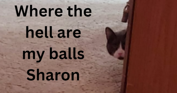 Where