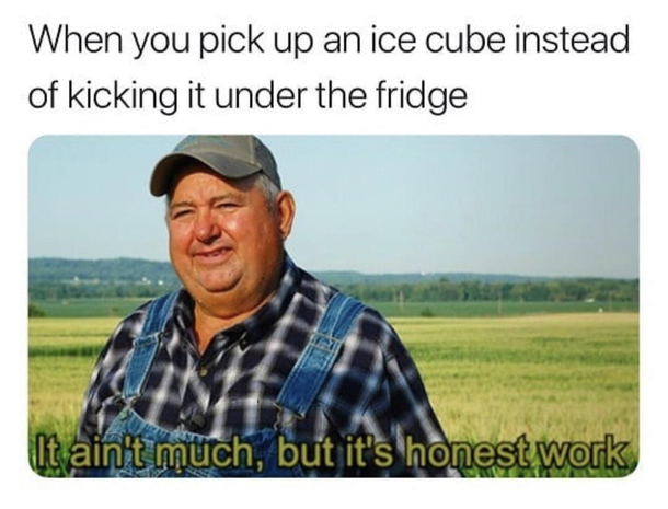 Wholesome